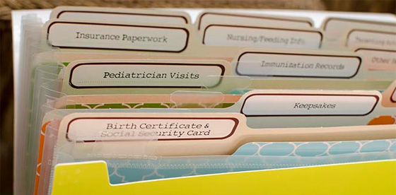 Baby Organizer File Folder - Unique Baby Shower Gift - Project Nursery