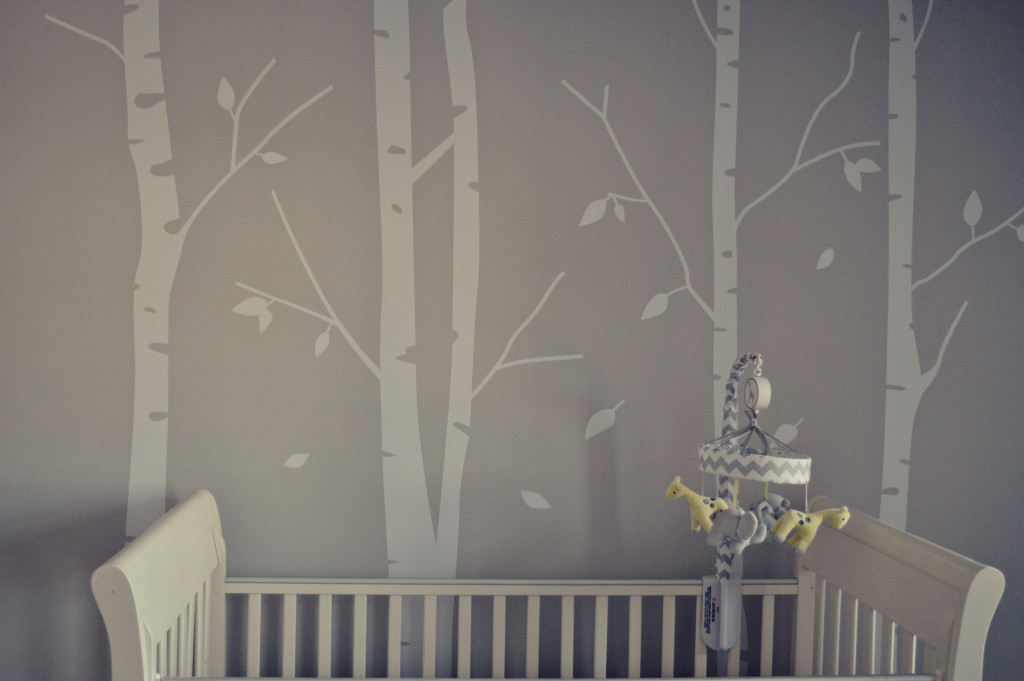 Contemporary Grey and White Nursery - Project Nursery