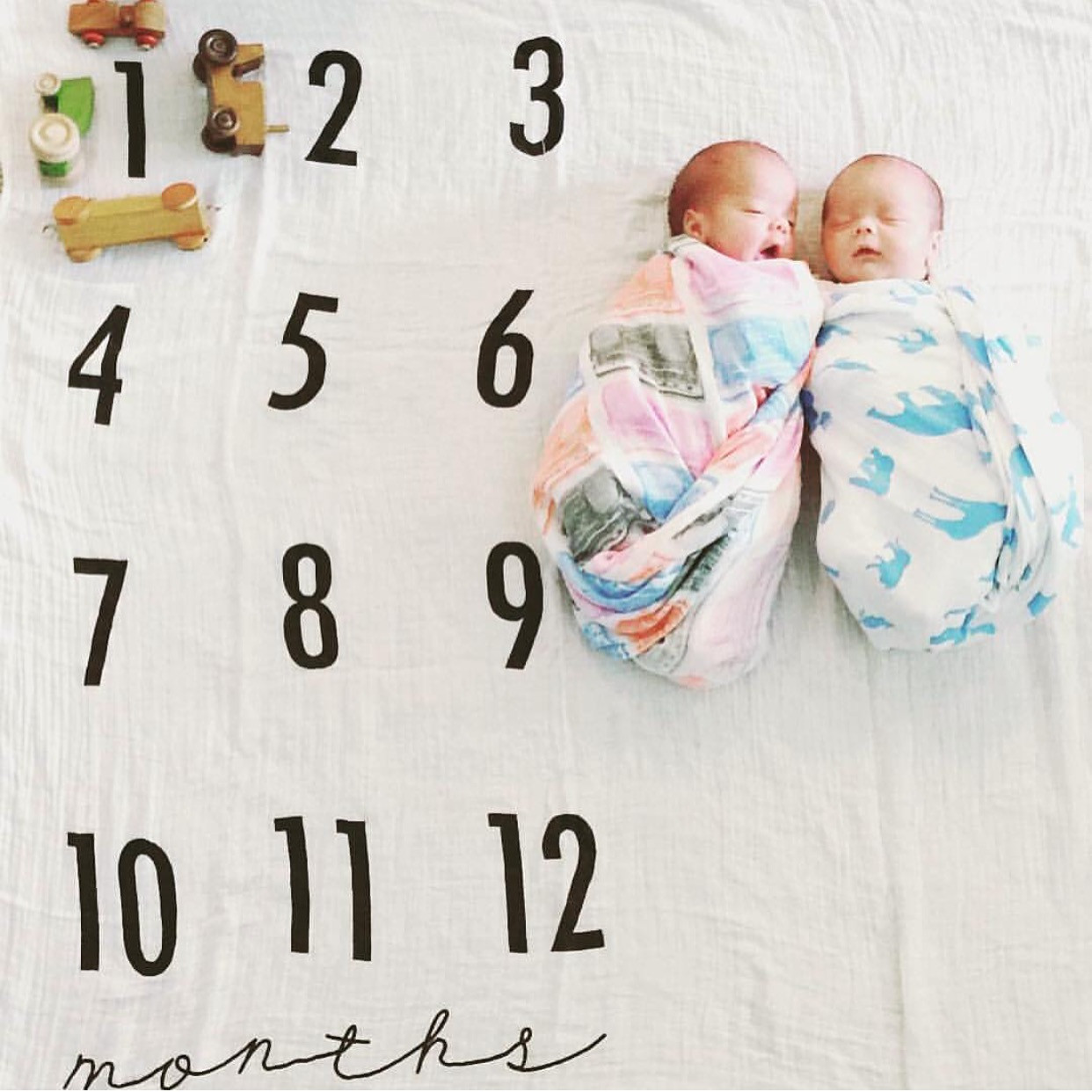 Monthly Milestone Swaddle Blanket from The Project Nursery Shop