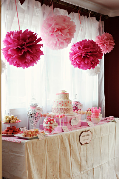 Pink Zebra Party - Project Nursery