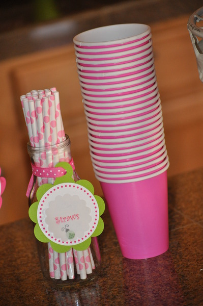 Keira's 2nd Pink Ladybug Birthday Party! - Project Nursery