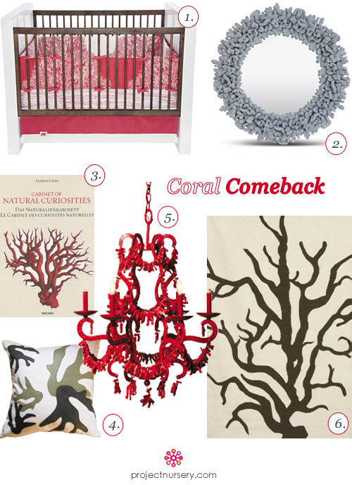 Coral Bedding, Mirror, Lighting, Rug and Pillow
