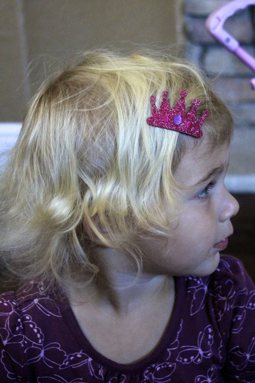 Lily & Momo Crown Hair Clip