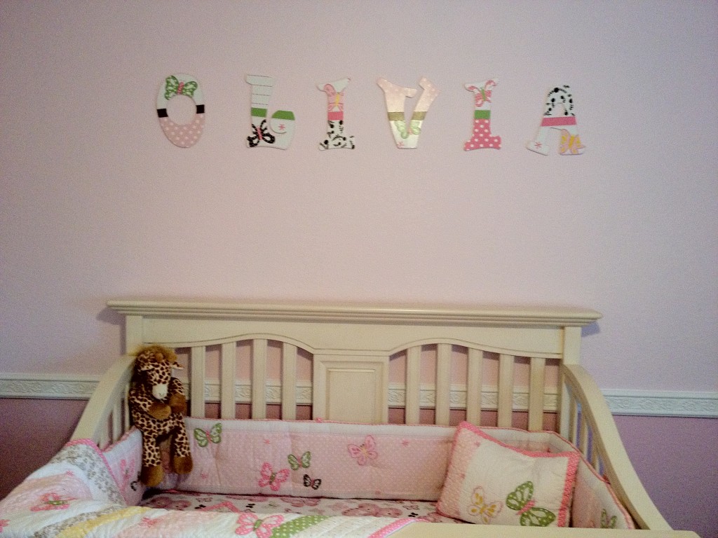 Baby Girl Nursery  Butterfly  Theme  Project Nursery 