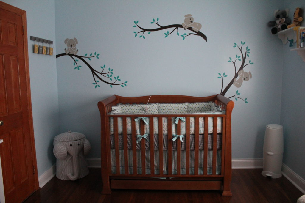 Lil Lucas's Nursery! - Project Nursery