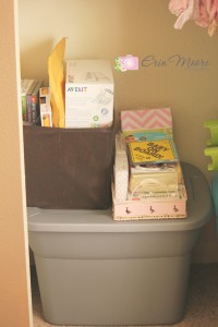 Ainsley Grace's Nursery - Project Nursery