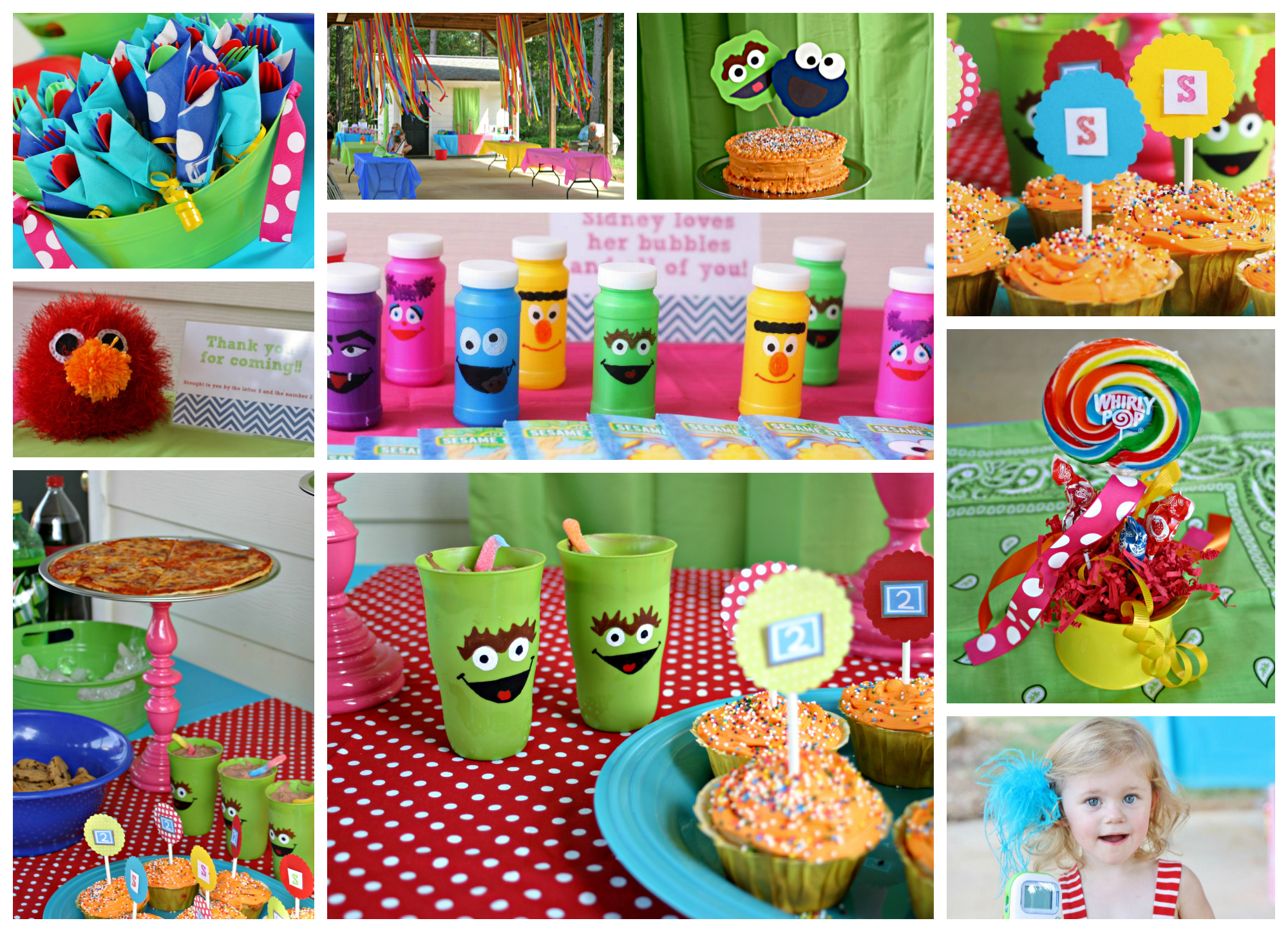 Sesame Street Birthday Party Project
