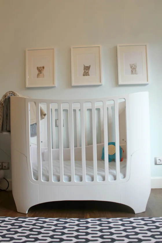 Modern Crib with Sharon Montrose Animal Prints