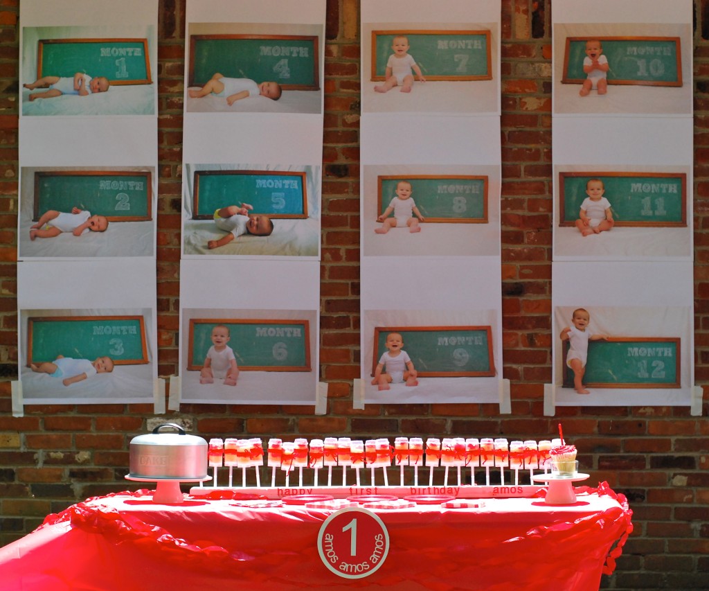 Monthly Baby Photo Display at First Birthday