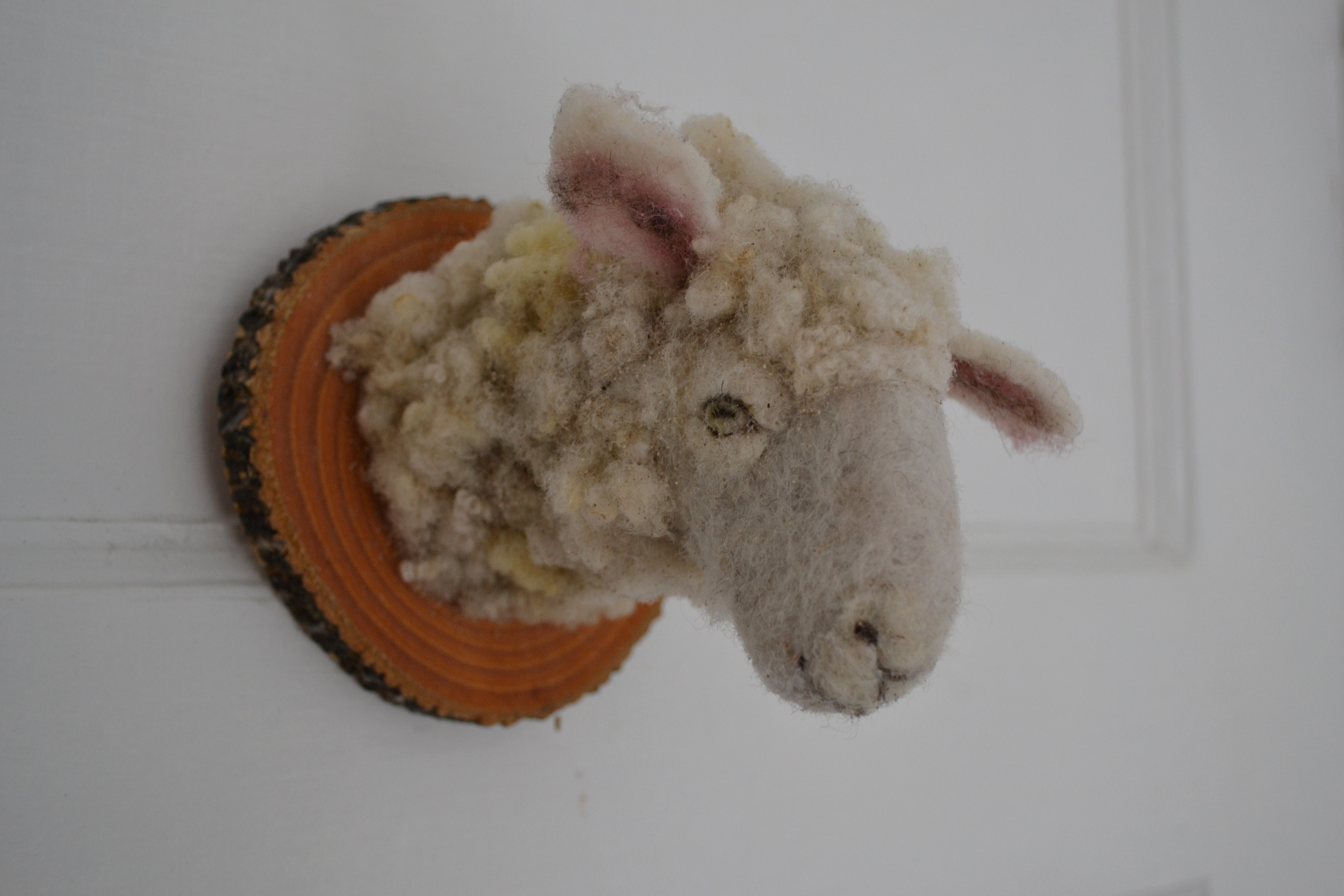 Girl Colorful Nursery Sheep Head