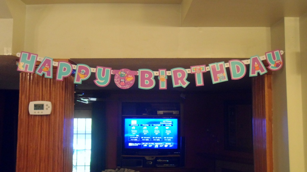 Girl Owl First Birthday Party Banner