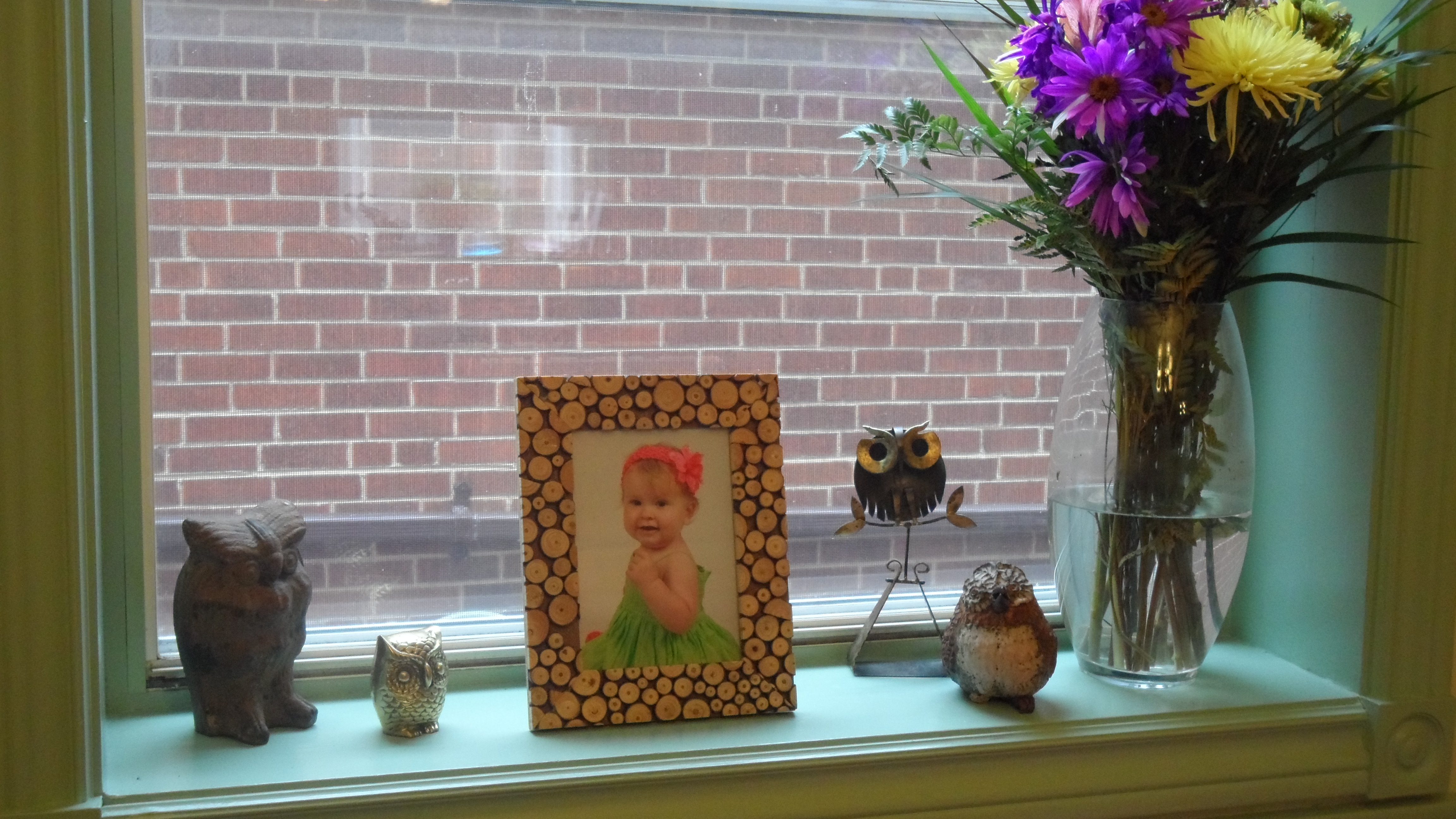 Girl Owl First Birthday Party Framed Photo