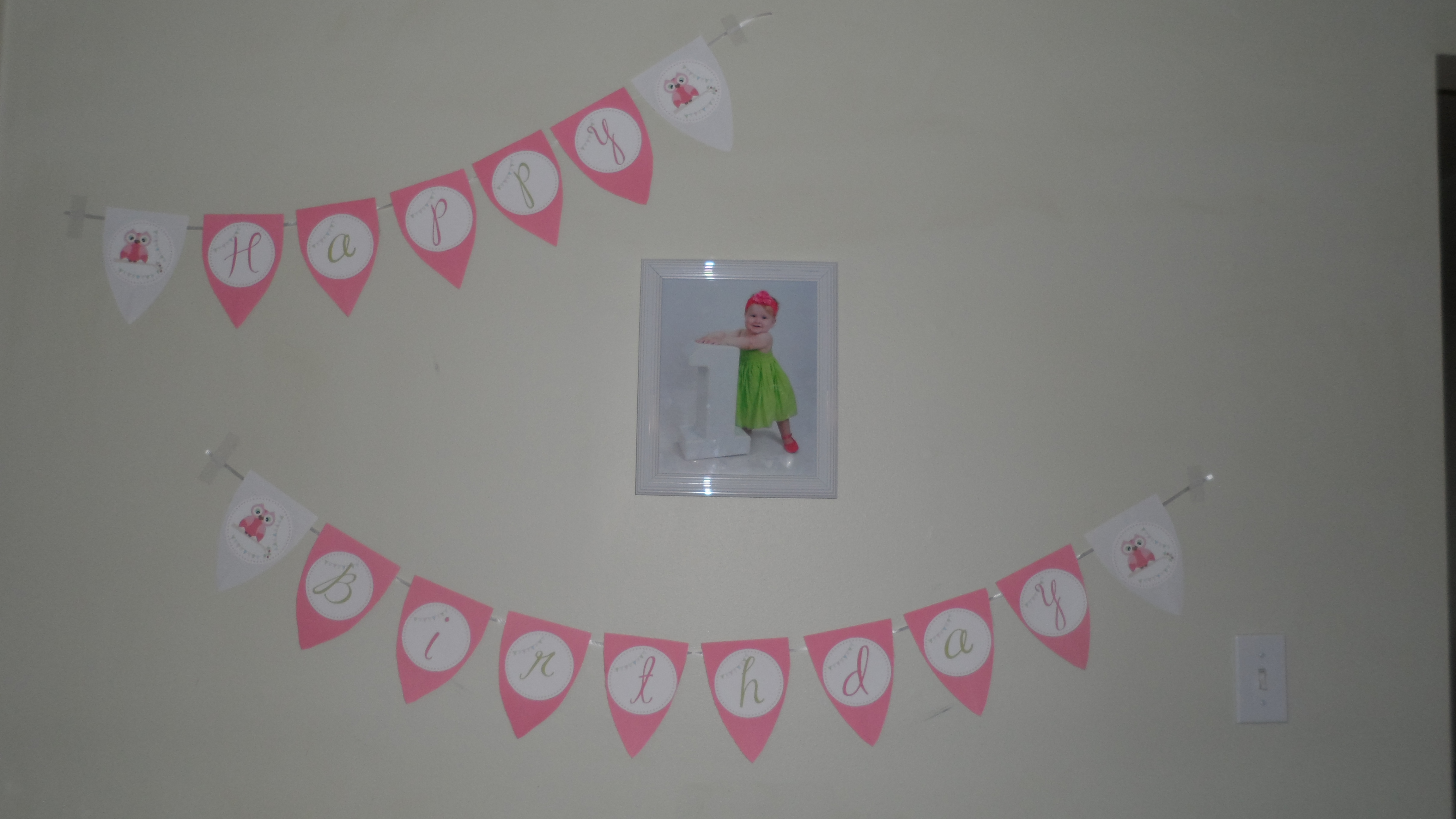 Girl Owl First Birthday Party Banner