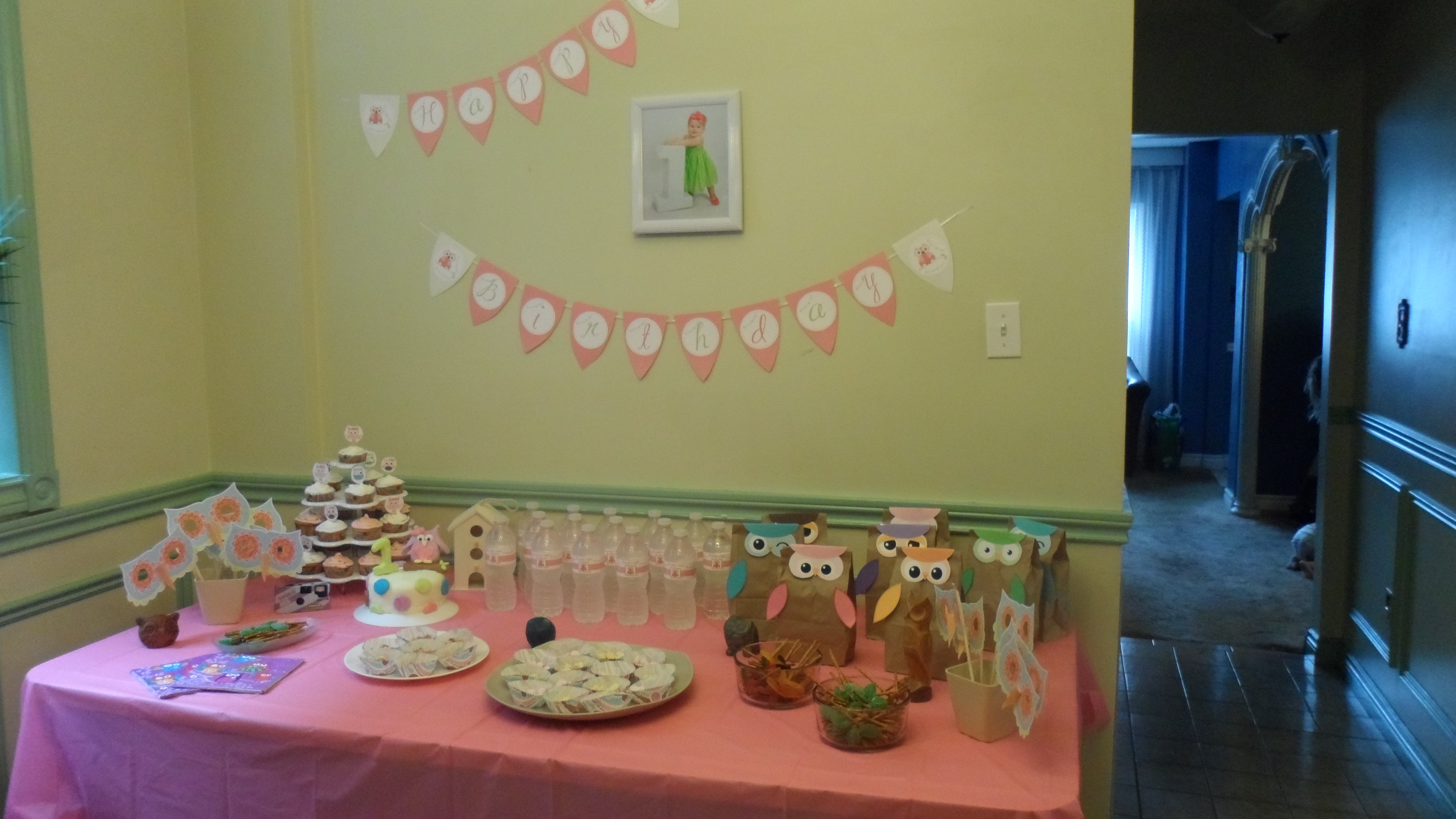 Girl Owl First Birthday Party Food Buffet