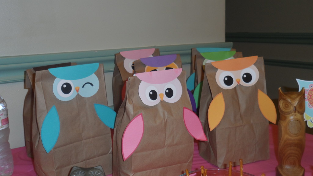 Girl Owl First Birthday Party Paper Bags