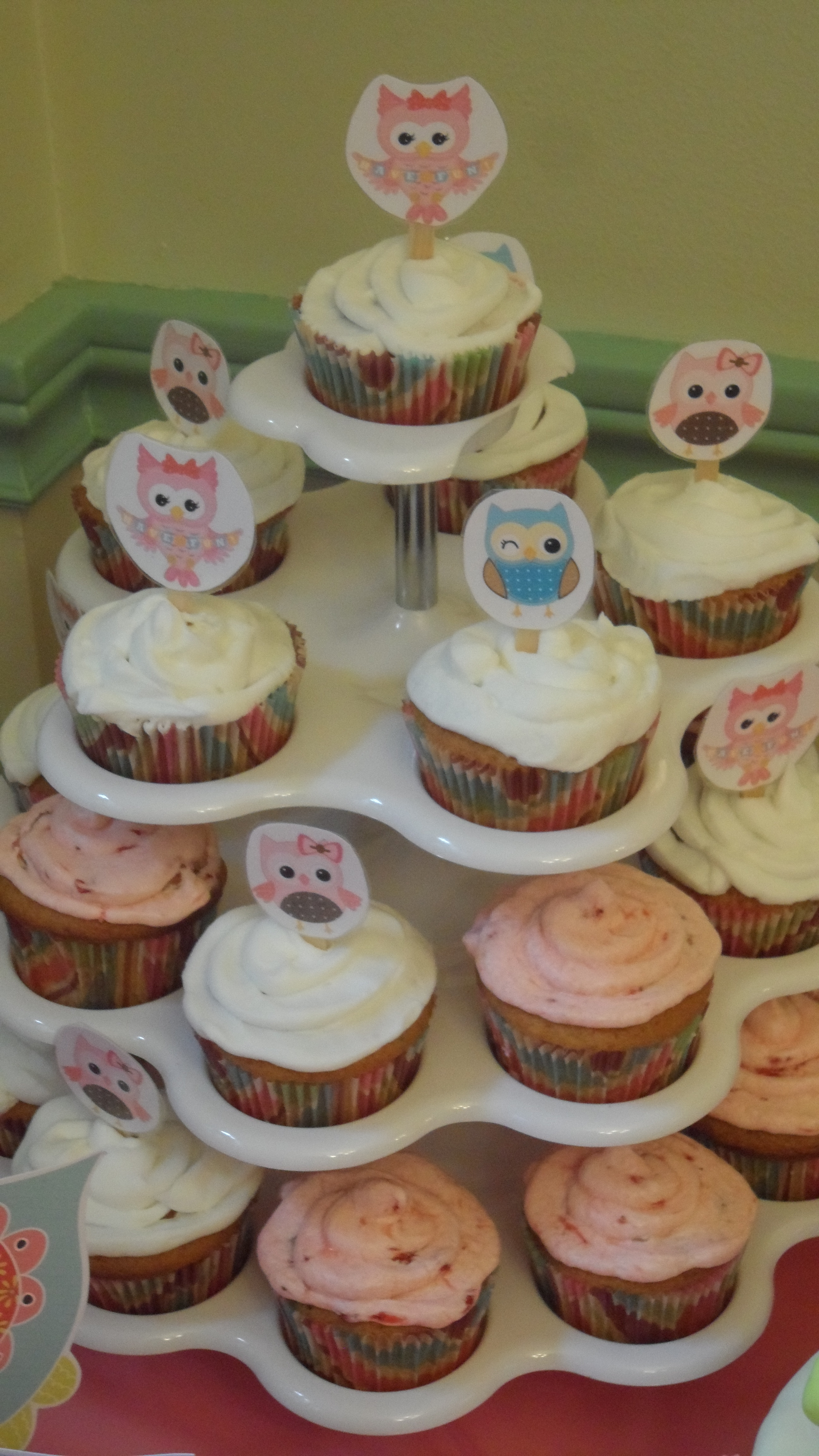 Girl Owl First Birthday Party Cupcakes