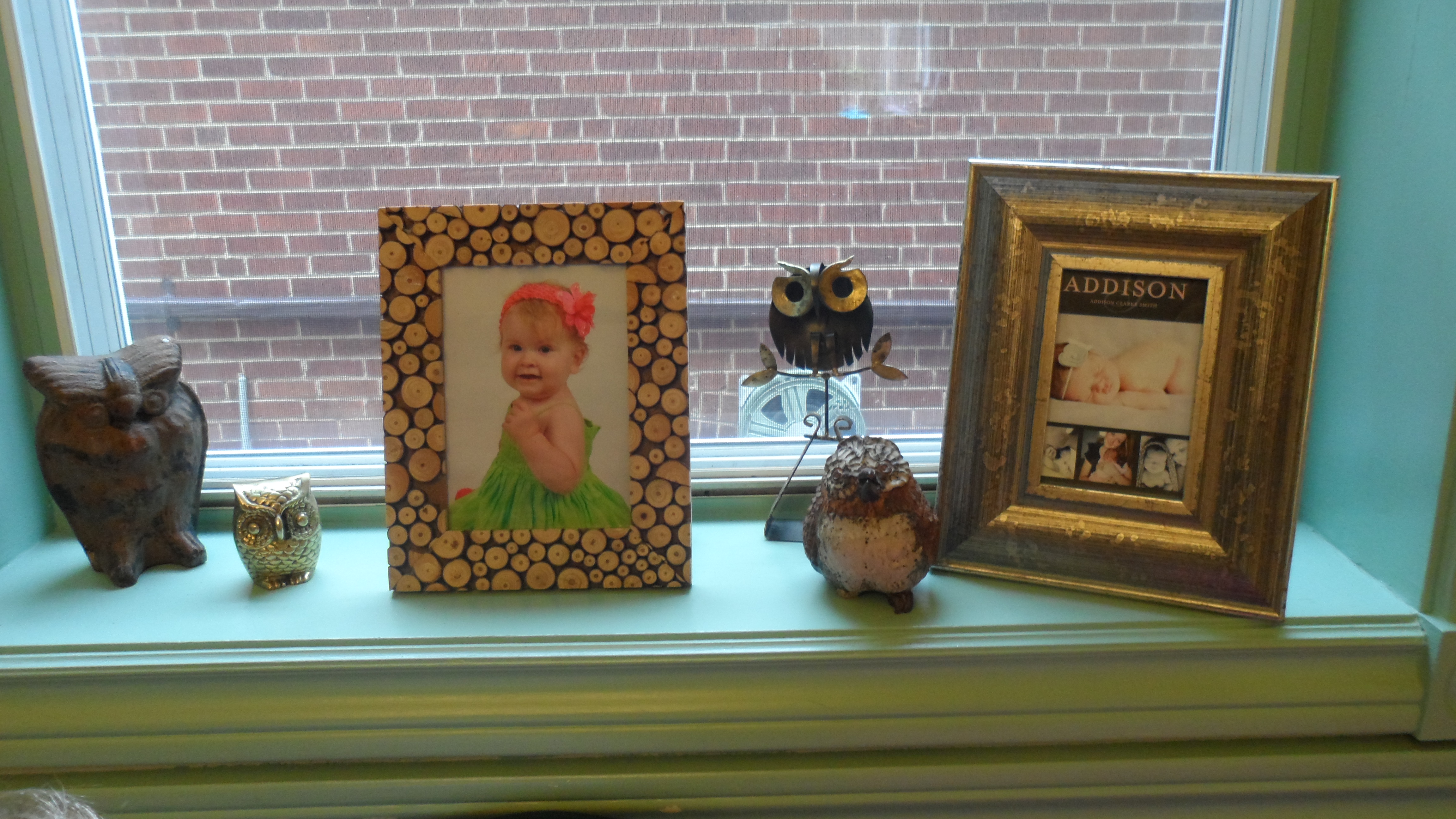 Girl Owl First Birthday Party Framed Photos