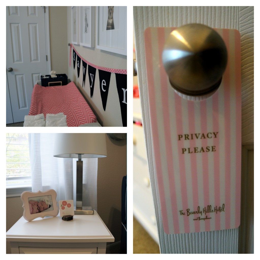 Girl Pink and Navy Nursery Room View