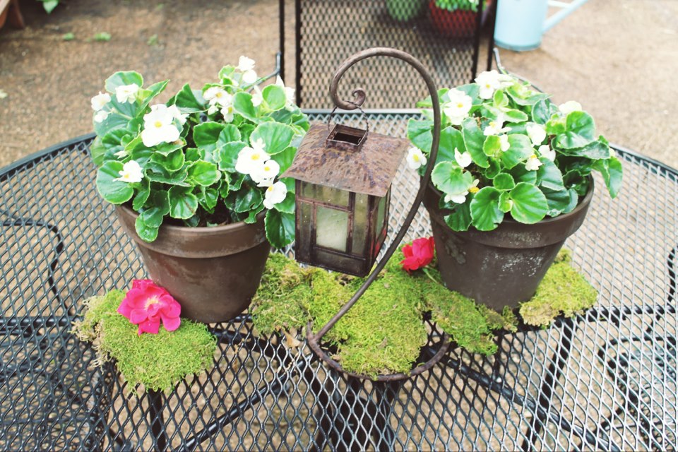 "One" to Grown On First Birthday Party Potted Plants