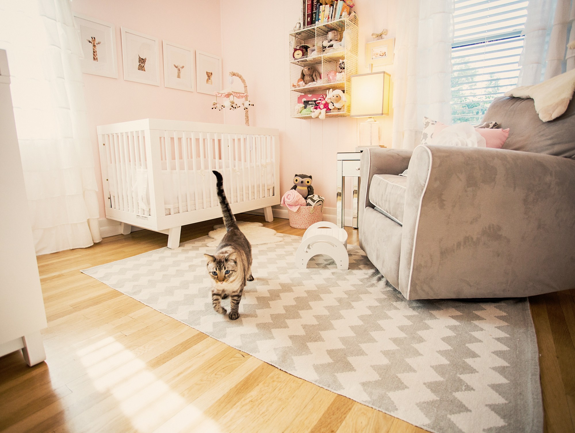 Pretty Vintage Pink Nursery Room View