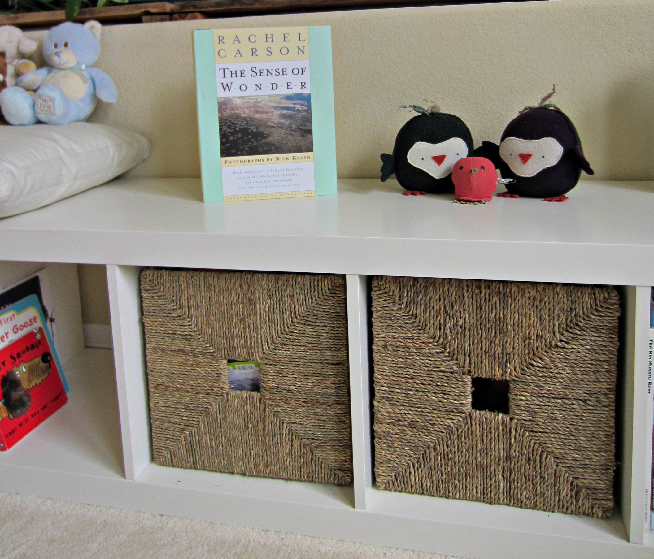 Immersion in Nature Nursery Bookshelf