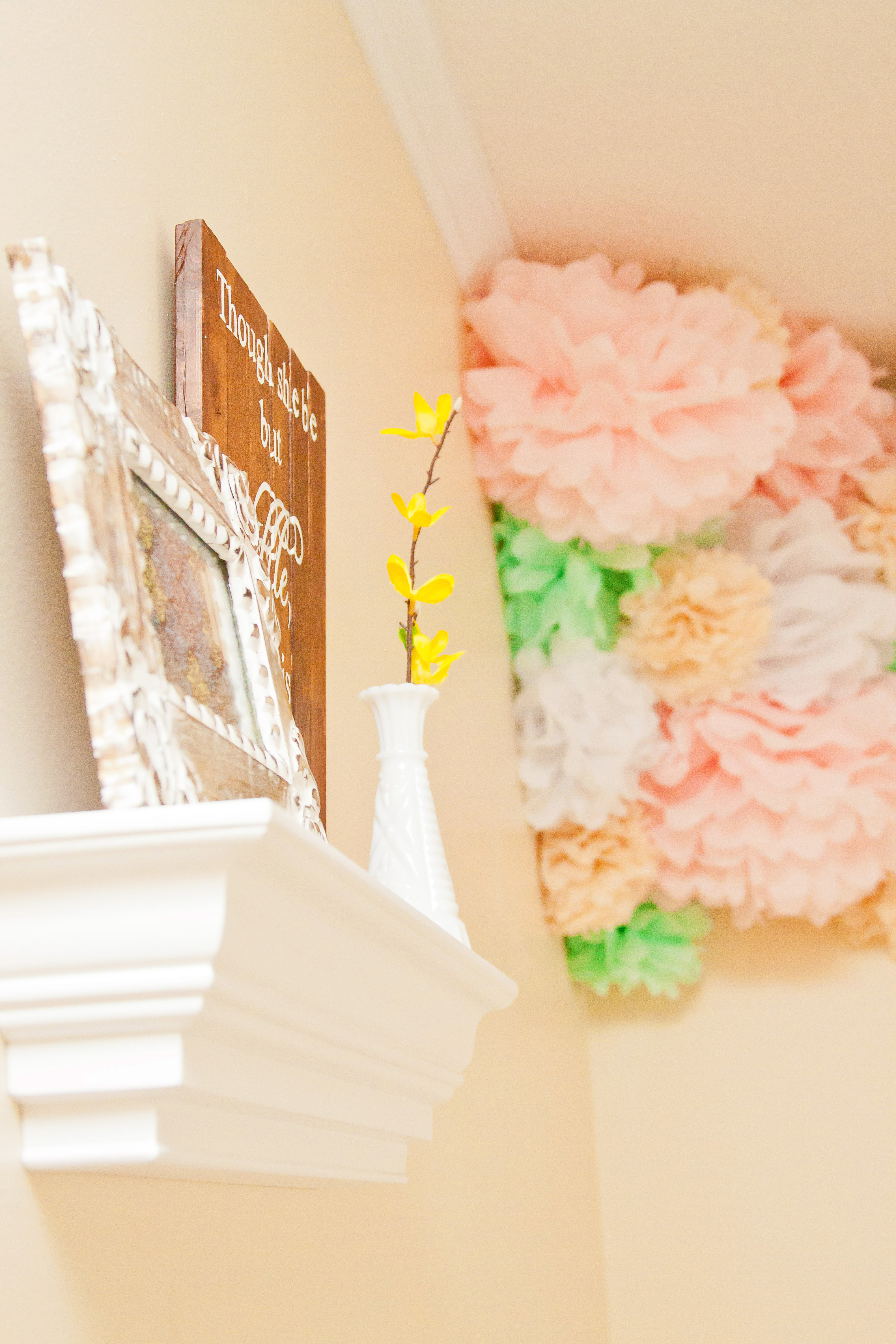 Girl Pastel Room Tissue Poms