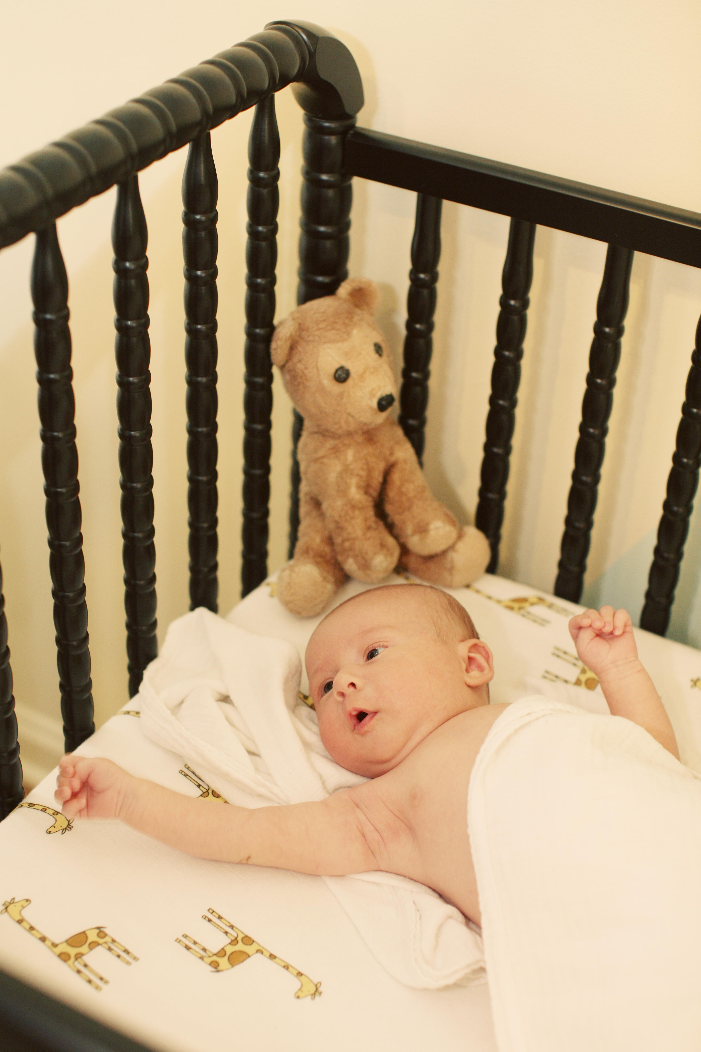 Boy Animal Theme Nursery Baby in Crib