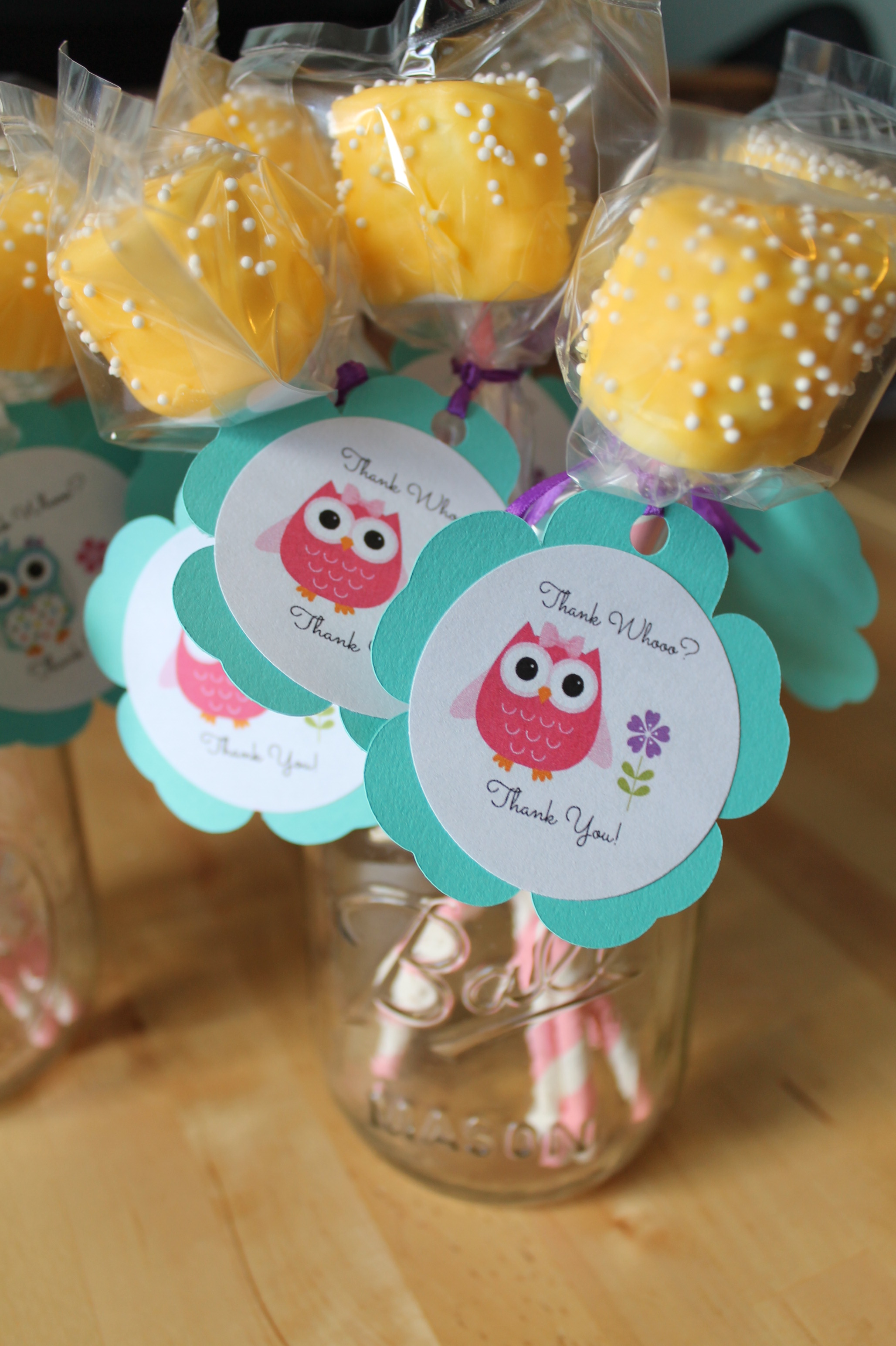 Owl Themed 2nd Birthday Party