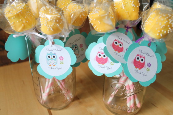 Owl Themed Birthday Party Marshmallow Pops - Project Nursery