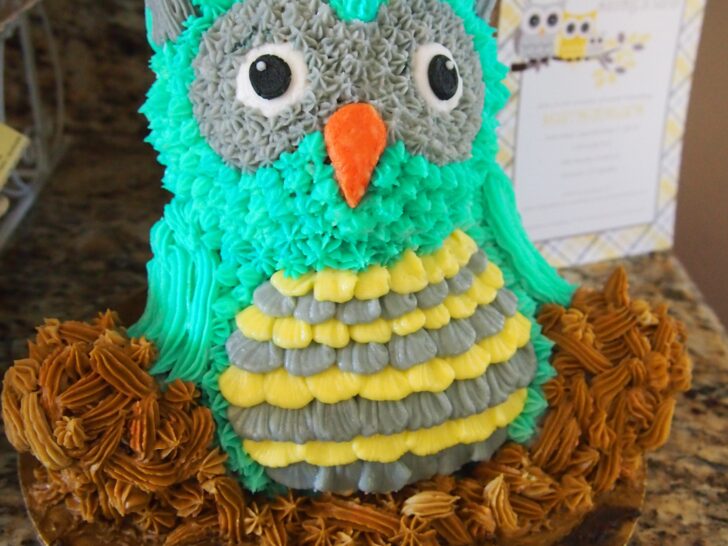 Turquoise Owl Cake