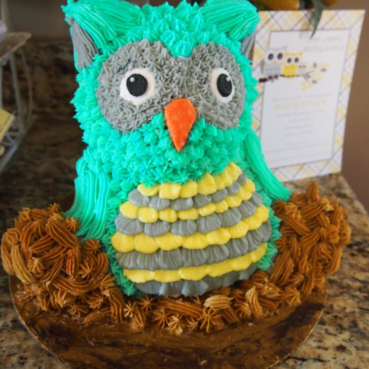 Turquoise Owl Cake