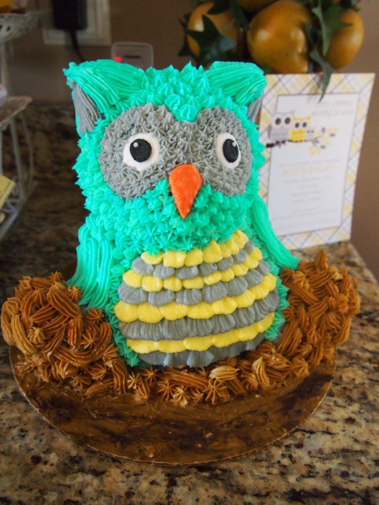 Turquoise Owl Cake