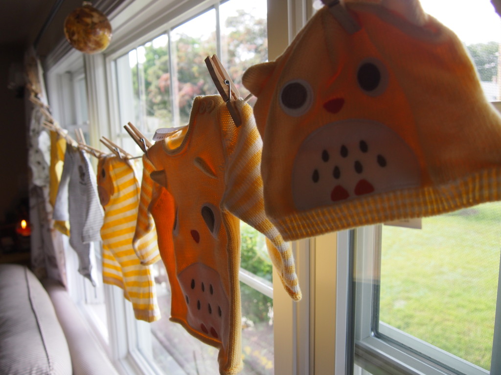 Owl Baby Clothesline