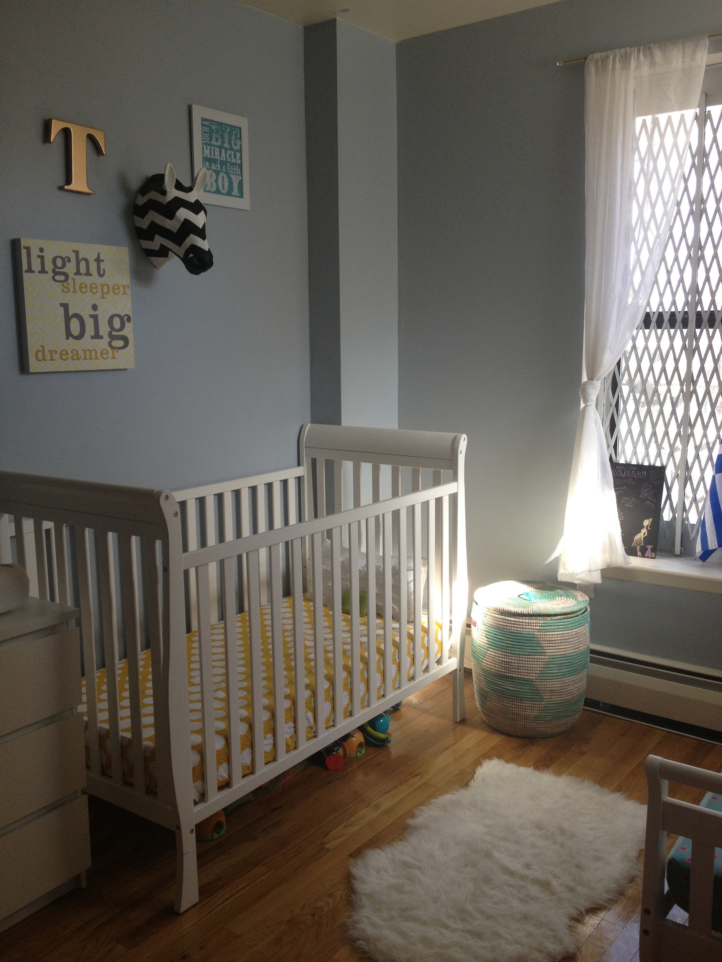 Brother and Sister Twin Nursery