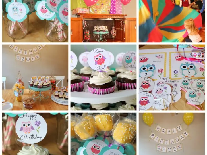 Owl Themed 2nd Birthday Party Collage