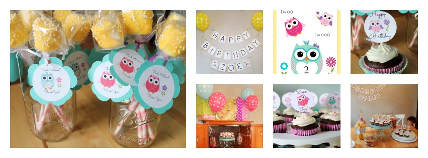 Owl Themed 2nd Birthday Party Owl Collage