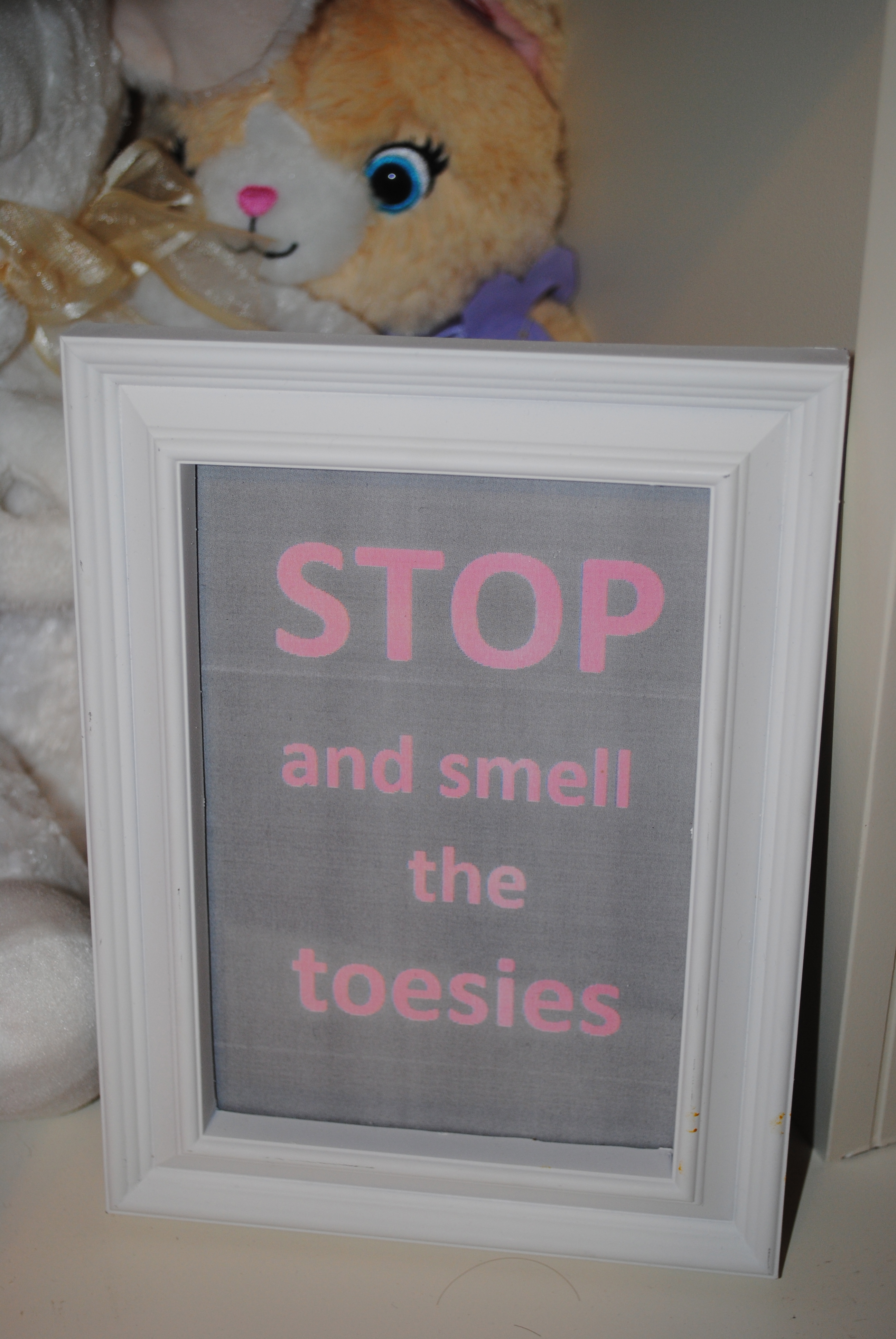 Stop and Smell the Toesies Nursery Frame