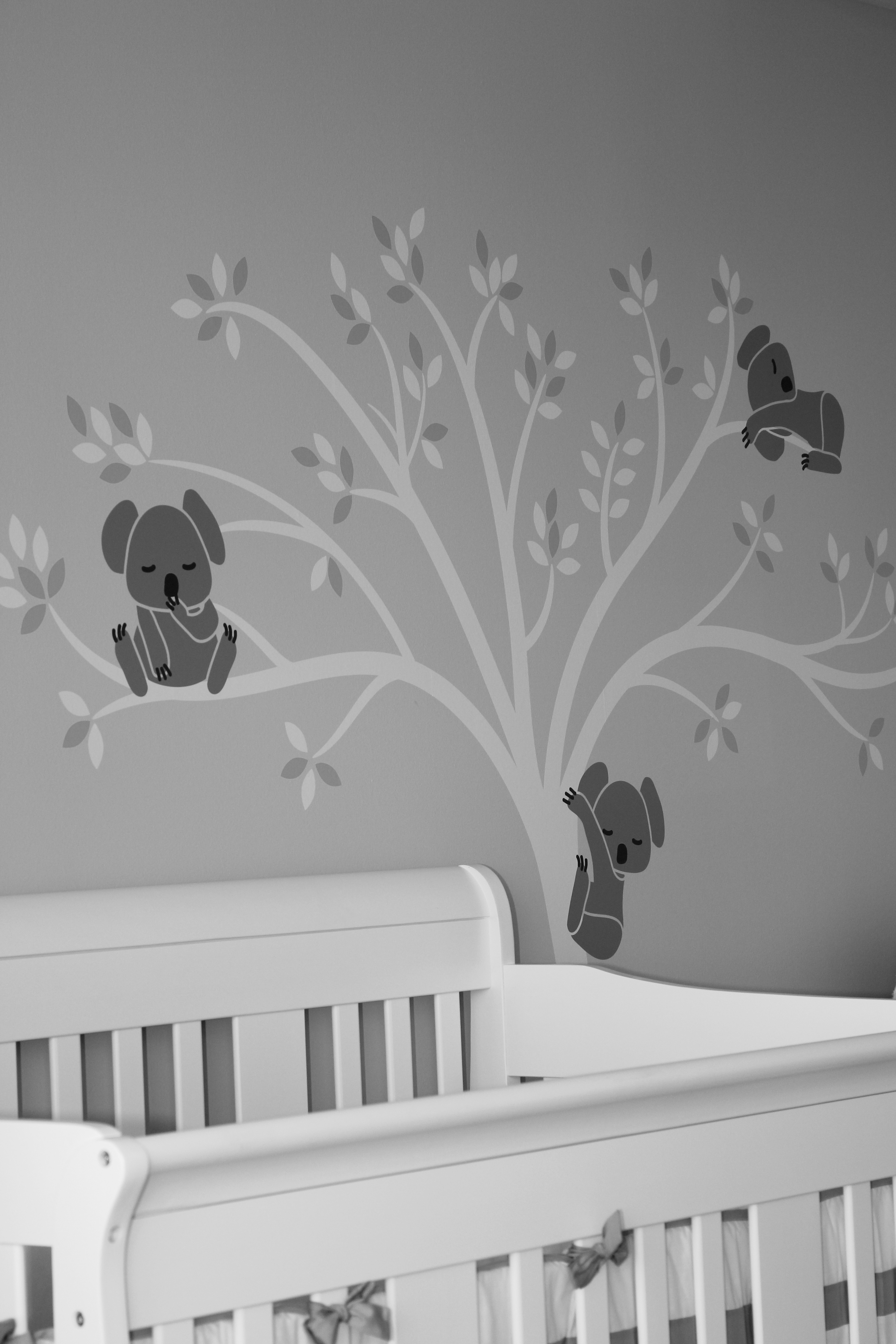 Koala Tree Decal