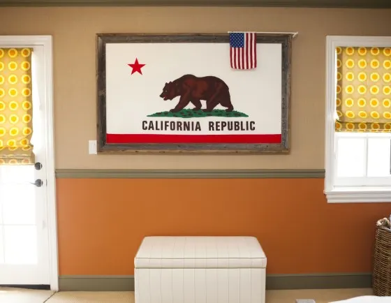 Orange and Brown Hunting Themed Room with California Bear Flag - Project Nursery