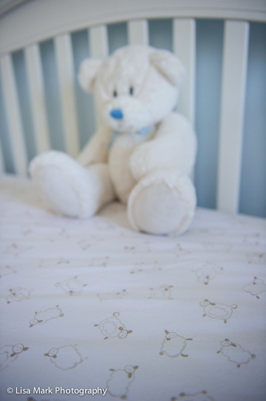 Sweet Lambie Crib Fitted Sheet from Pottery Barn Kids