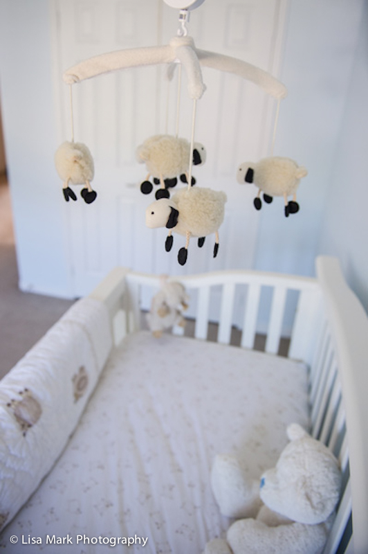 Sweet Lambie Nursery Bedding from Pottery Barn Kids