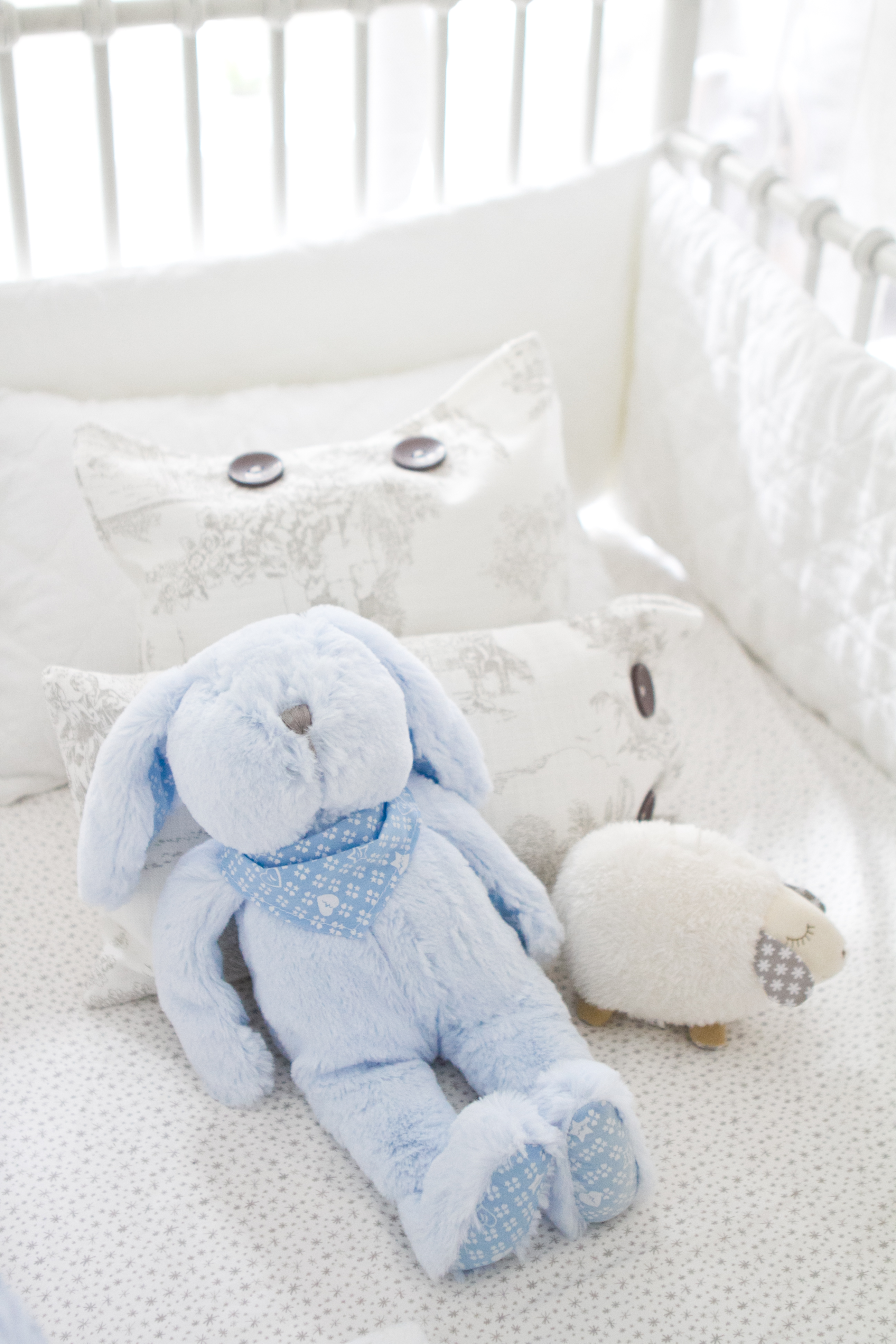 Blue Plush Bunny