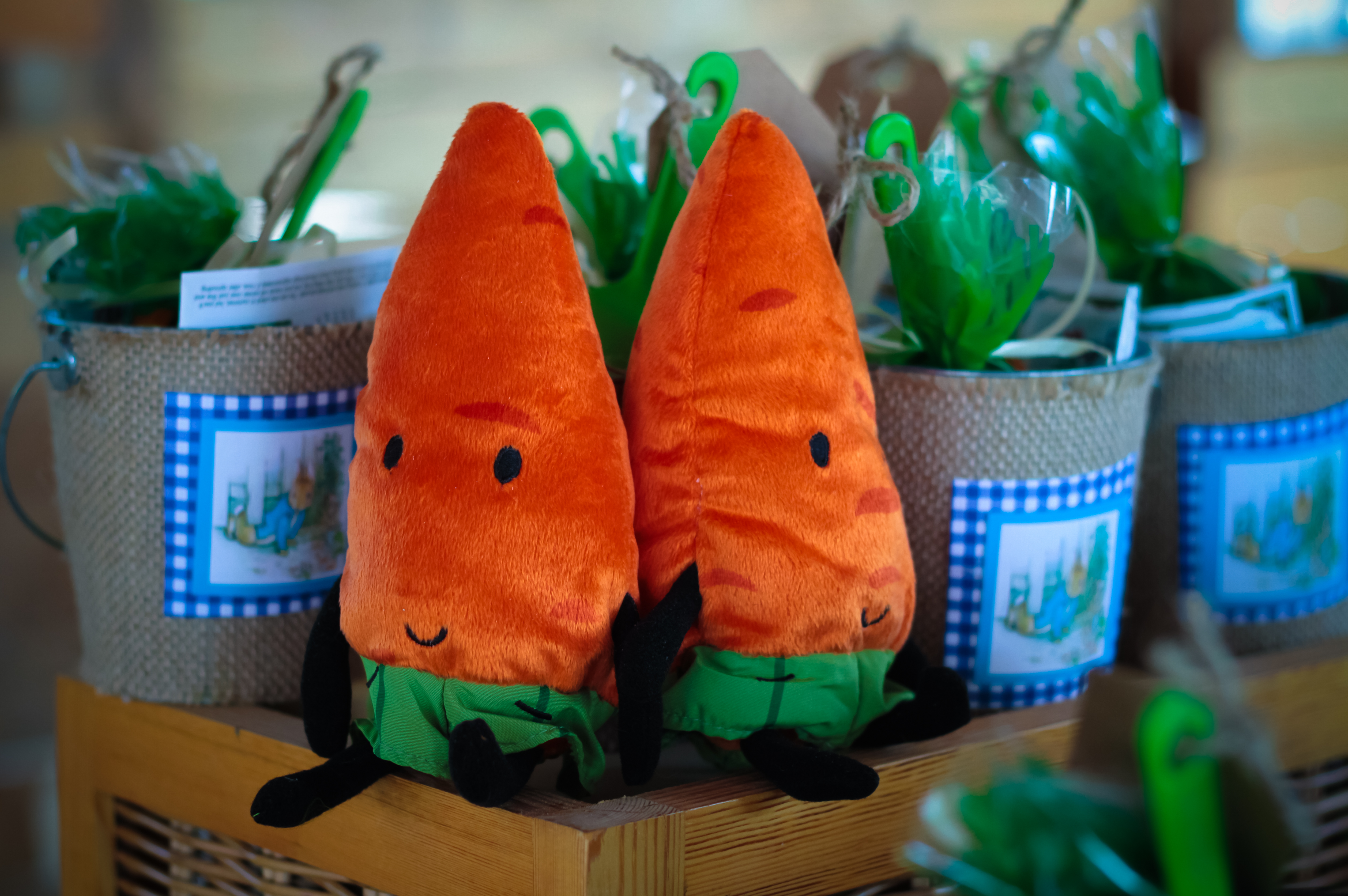 My First Garden Kit and Plush Carrot Birthday Favors