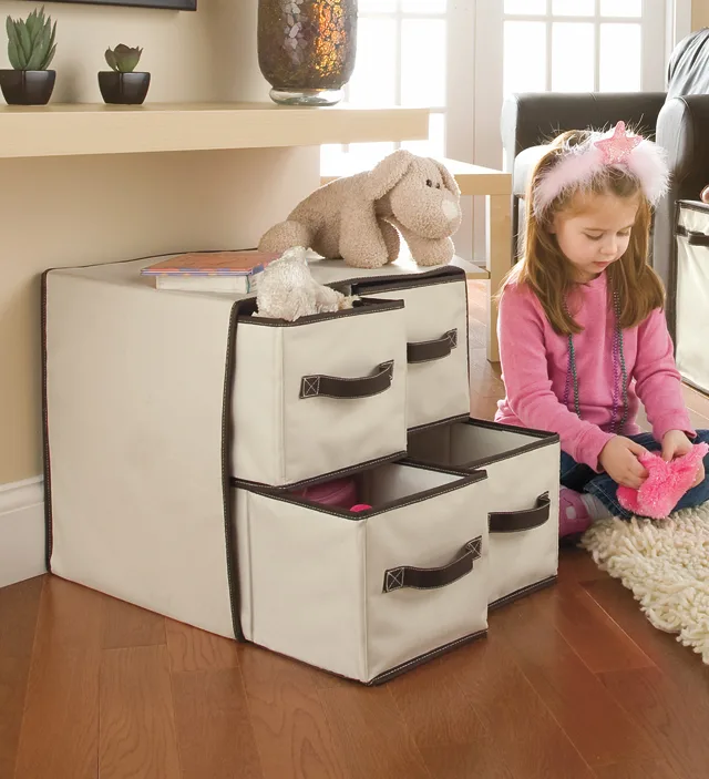 One Step Ahead 4-Cubby Organizer