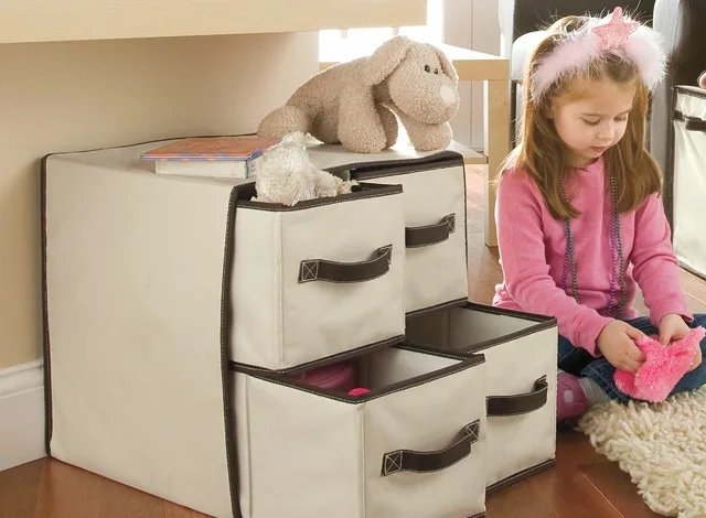 One Step Ahead 4-Cubby Organizer