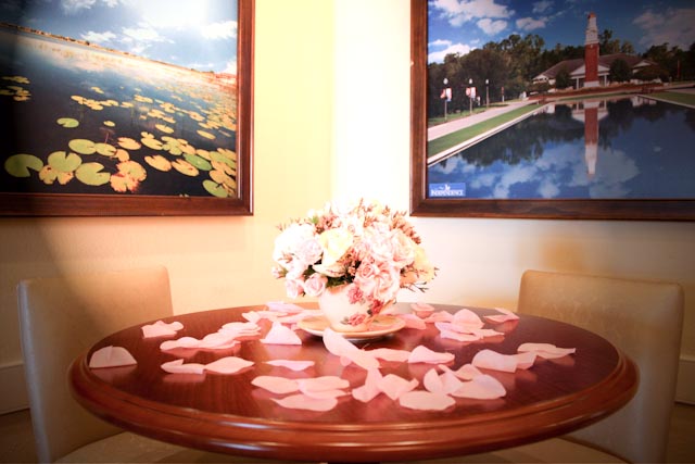 Floral Arrangements in Teacups