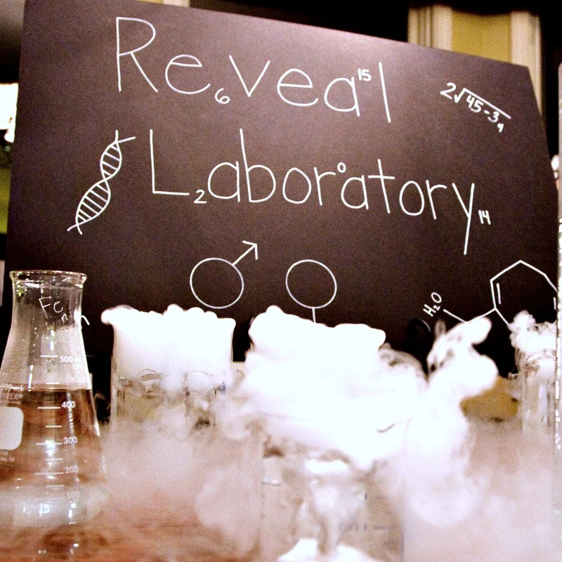 Science-Themed Gender Reveal Party - Project Nursery