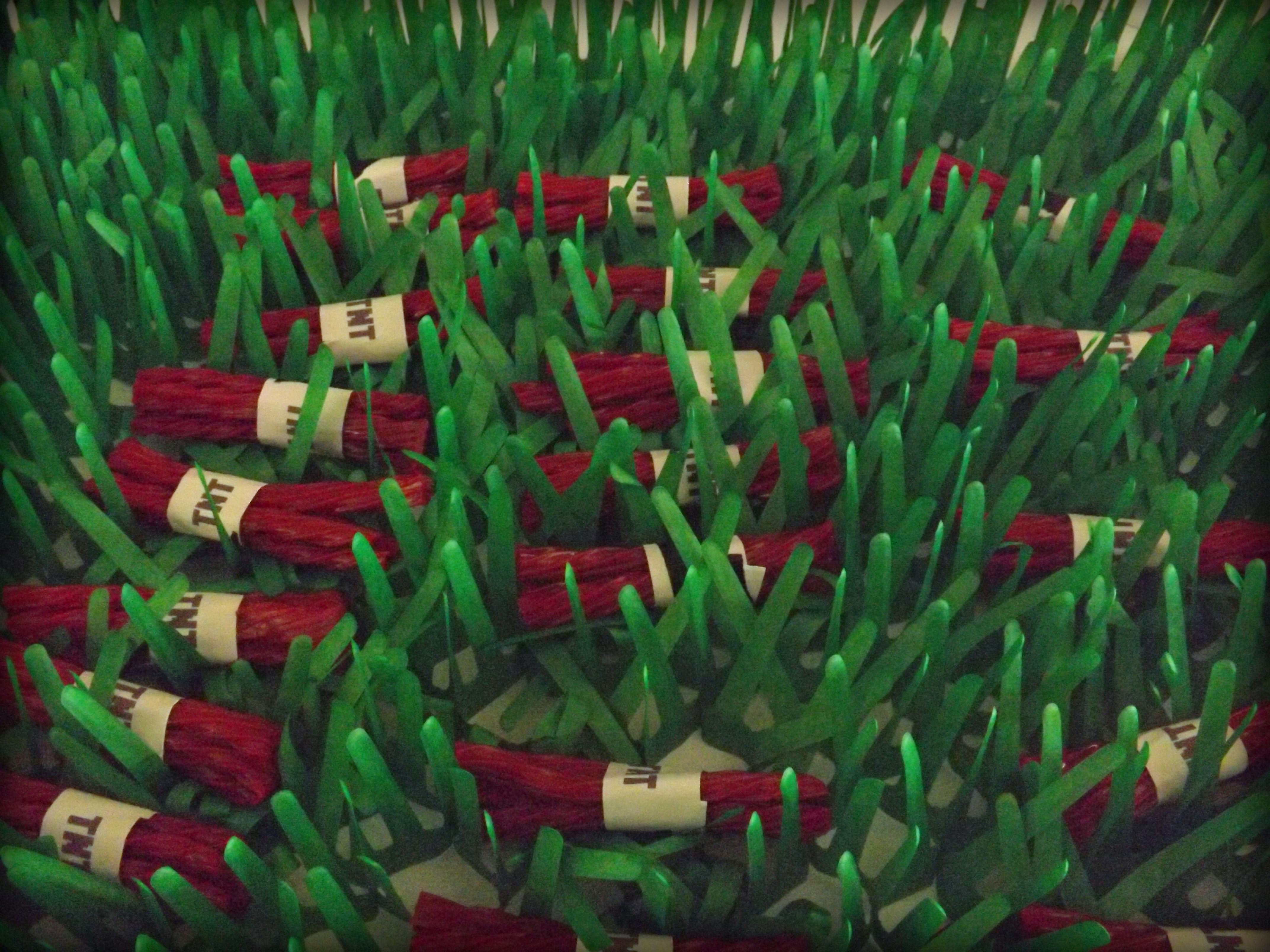 Twizzlers Used as TNT for this Minecraft Birthday Party