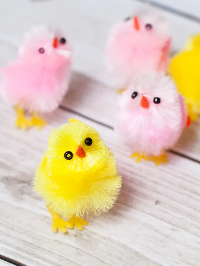 Small Fuzzy Chicks