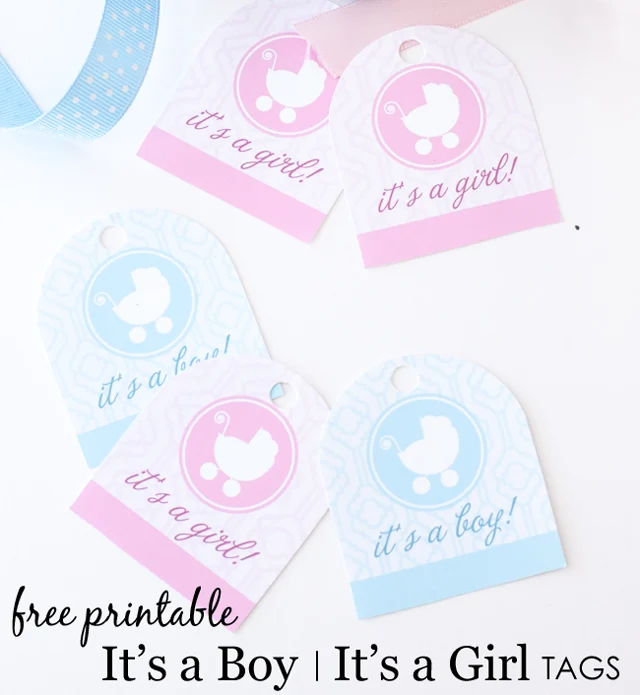 It's a Boy/It's a Girl Free Printable Tags